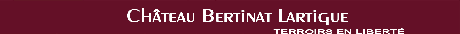 Château Bertinat Lartigue - Grands Vins de Saint-Émilion